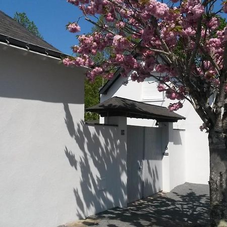 Chambre Et Salon Sur La Loire A Velo เลส์-ปองต์-เดอ-เซ ภายนอก รูปภาพ